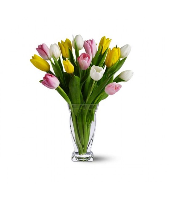 Fifteen Mixed Tulips